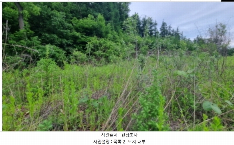 2024타경75147 경기도 가평군 청평면 상천리 산201 임야 경매 이미지