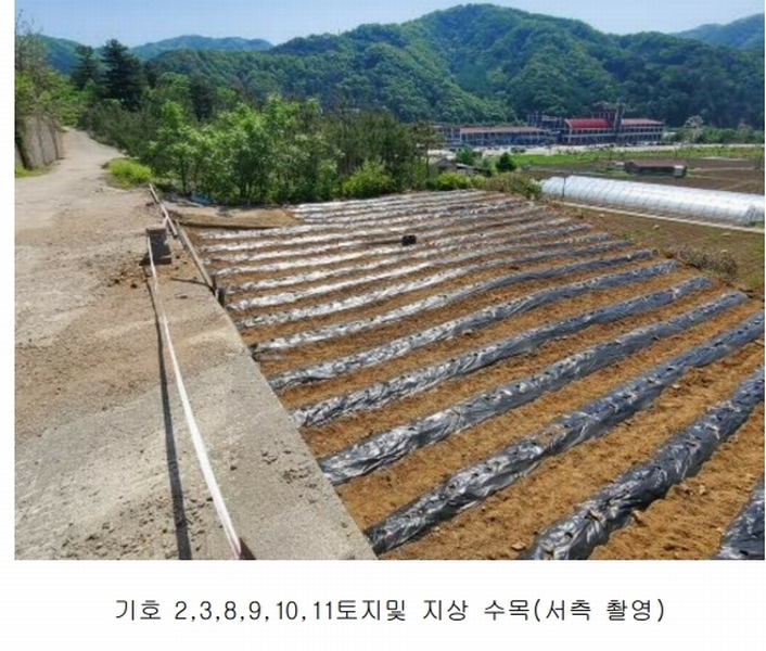 2024타경75147 경기도 가평군 청평면 상천리 산201 임야 경매 이미지