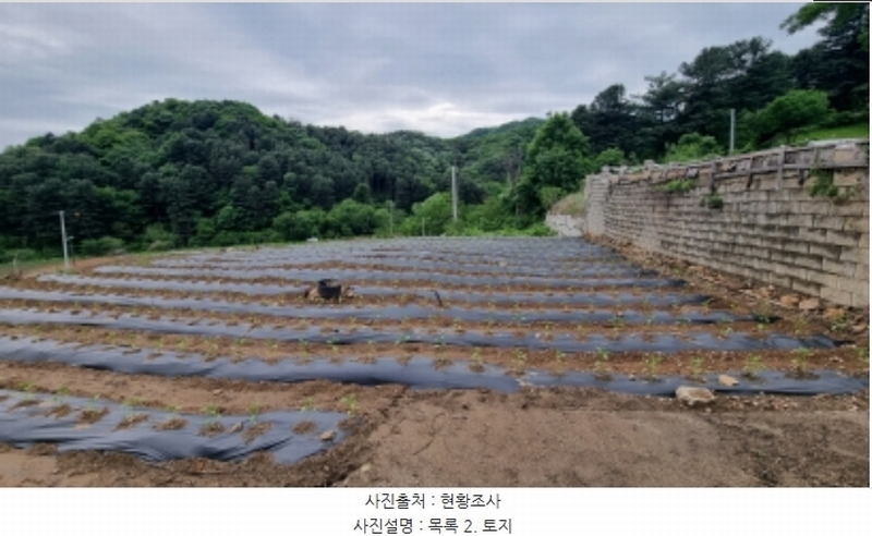 2024타경75147 경기도 가평군 청평면 상천리 산201 임야 경매 이미지