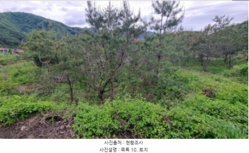 2024타경75147 경기도 가평군 청평면 상천리 산201 임야 경매 이미지