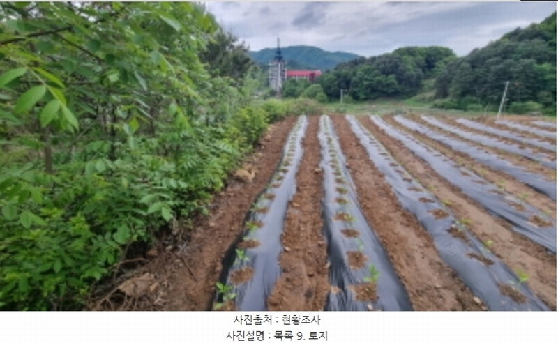 2024타경75147 경기도 가평군 청평면 상천리 산201 임야 경매 이미지