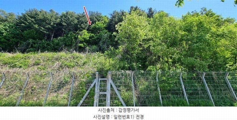 2024타경75871 경기도 가평군 조종면 대보리 산245-1 임야 경매 이미지