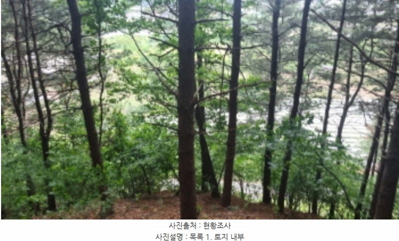 2024타경75871 경기도 가평군 조종면 대보리 산245-1 임야 경매 이미지