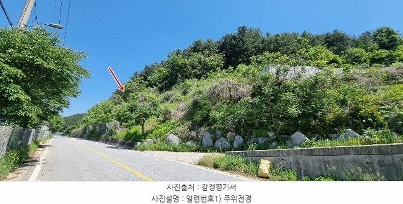 2024타경75871 경기도 가평군 조종면 대보리 산245-1 임야 경매 이미지