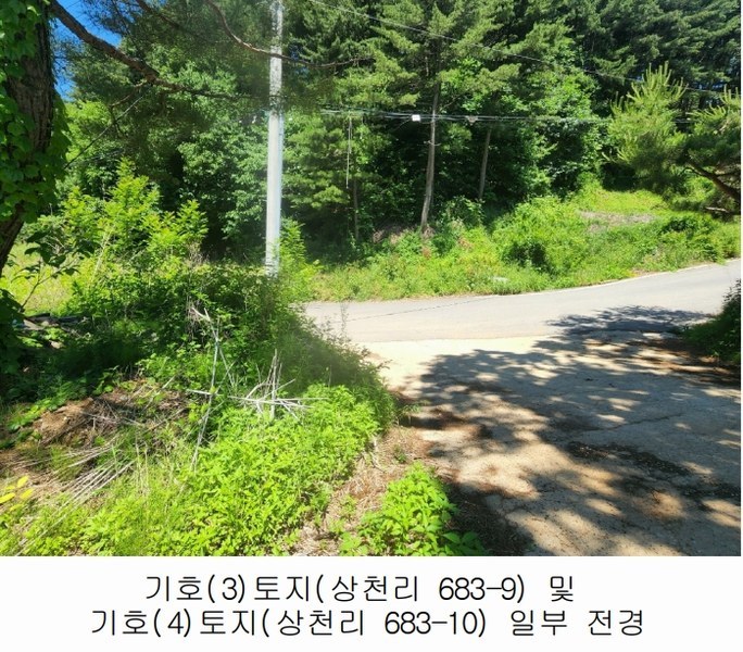 2024타경76874 경기도 가평군 청평면 상천리 683-2 농지 경매 이미지
