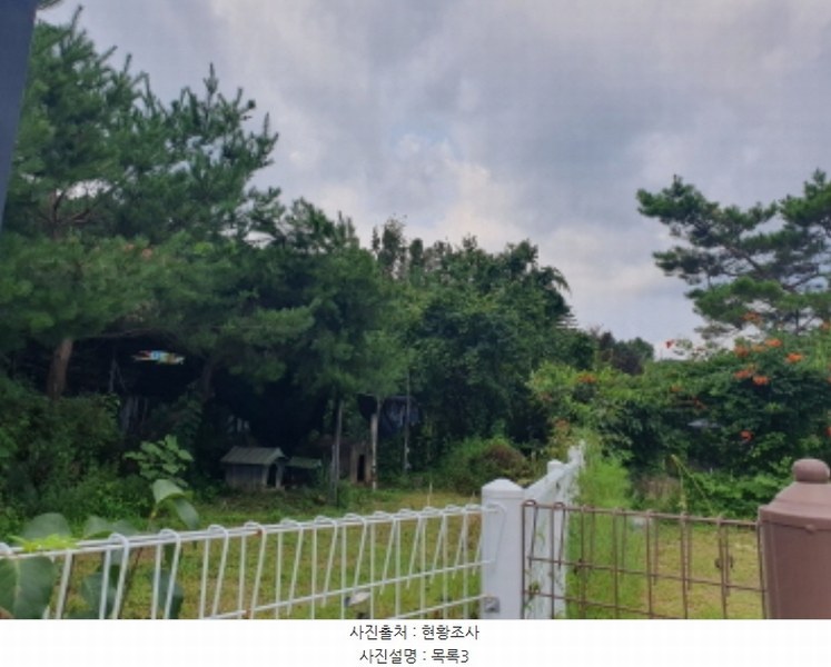 2024타경80347 경기도 남양주시 수동면 송천리 36-16 농지 경매 이미지