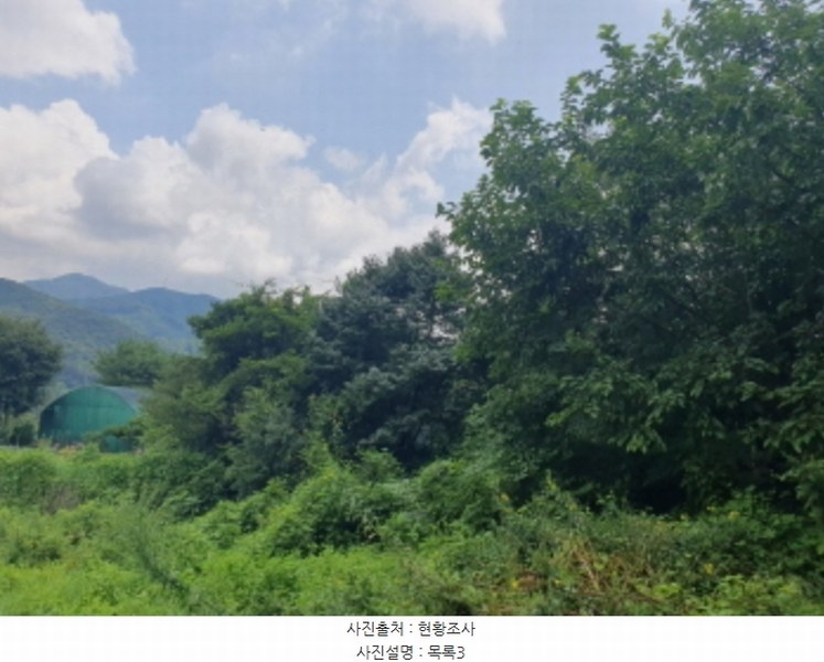2024타경80347 경기도 남양주시 수동면 송천리 36-16 농지 경매 이미지
