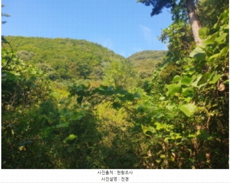 2024타경82503 경기도 가평군 청평면 호명리 산89 임야 경매 이미지