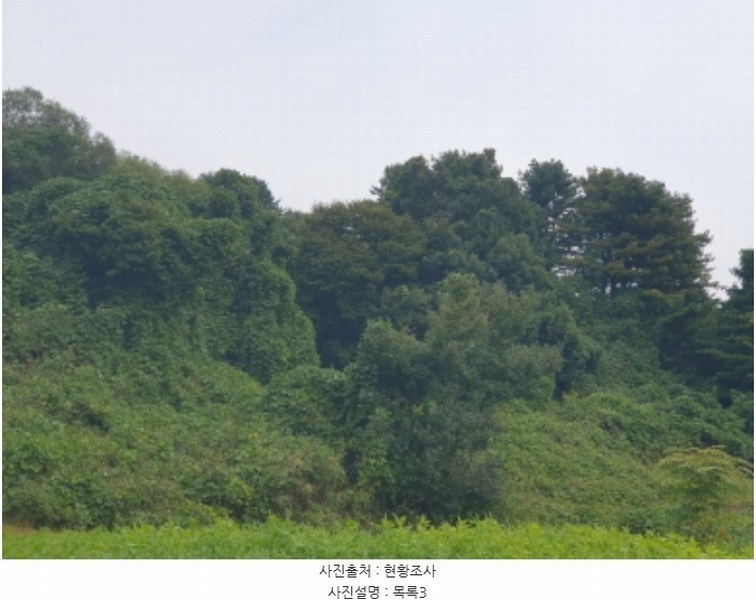 2024타경83148 경기도 가평군 상면 항사리 577-3 임야 경매 이미지
