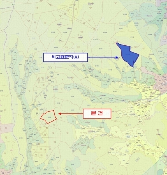 2024타경86796 경기도 가평군 가평읍 금대리 산89 임야 경매 이미지