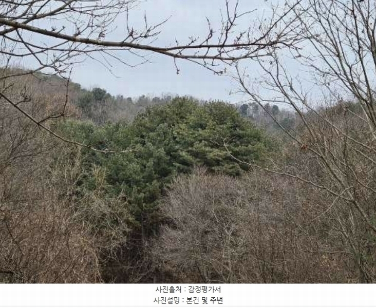 2024타경86796 경기도 가평군 가평읍 금대리 산89 임야 경매 이미지