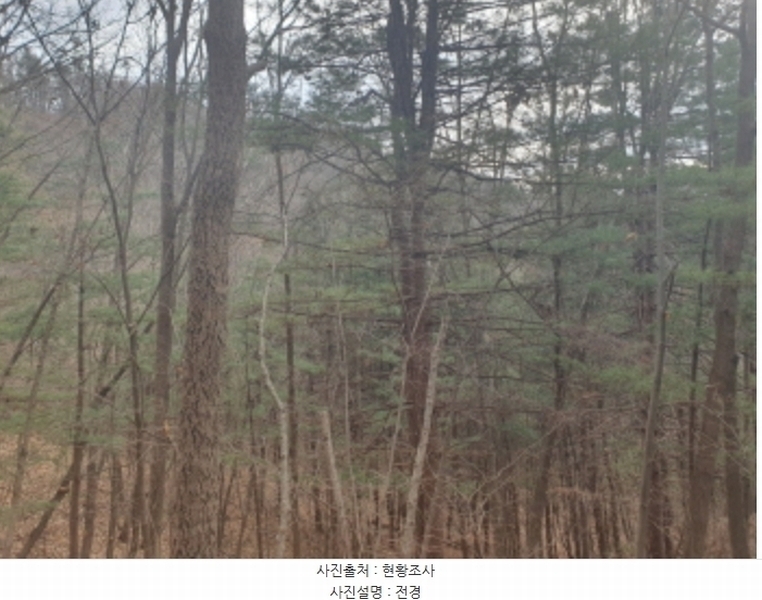 2024타경86796 경기도 가평군 가평읍 금대리 산89 임야 경매 이미지