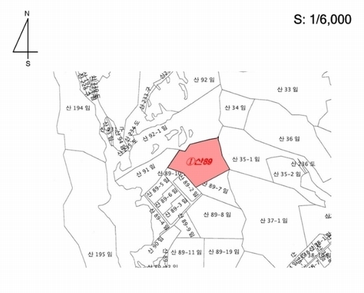 2024타경86796 경기도 가평군 가평읍 금대리 산89 임야 경매 이미지
