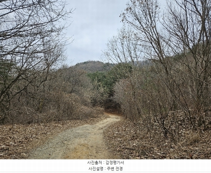 2024타경86796 경기도 가평군 가평읍 금대리 산89 임야 경매 이미지