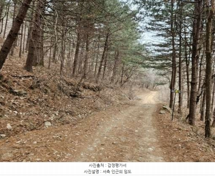 2024타경86796 경기도 가평군 가평읍 금대리 산89 임야 경매 이미지