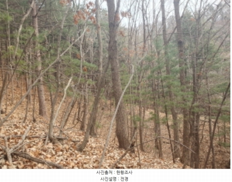 2024타경86796 경기도 가평군 가평읍 금대리 산89 임야 경매 이미지