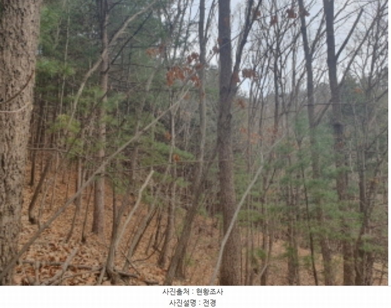 2024타경86796 경기도 가평군 가평읍 금대리 산89 임야 경매 이미지