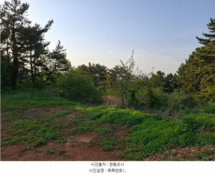 2025타경607 경상남도 남해군 서면 작장리 1327-26 임야 경매 이미지