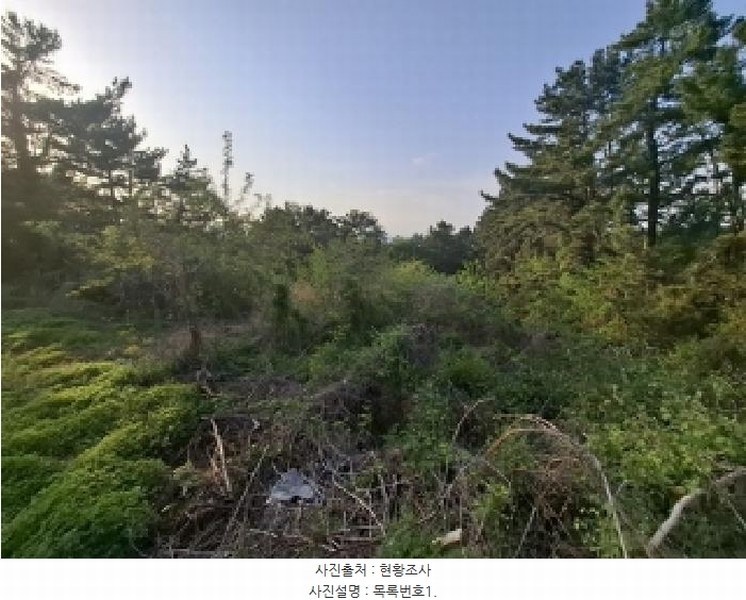 2025타경607 경상남도 남해군 서면 작장리 1327-26 임야 경매 이미지