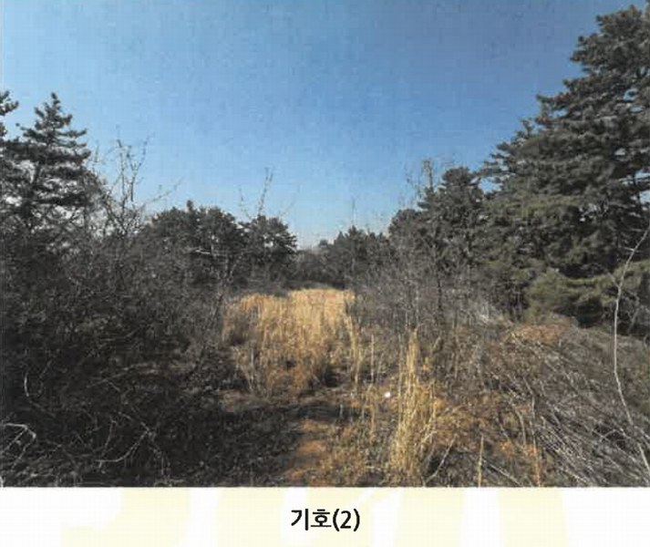 2025타경607 경상남도 남해군 서면 작장리 1327-26 임야 경매 이미지