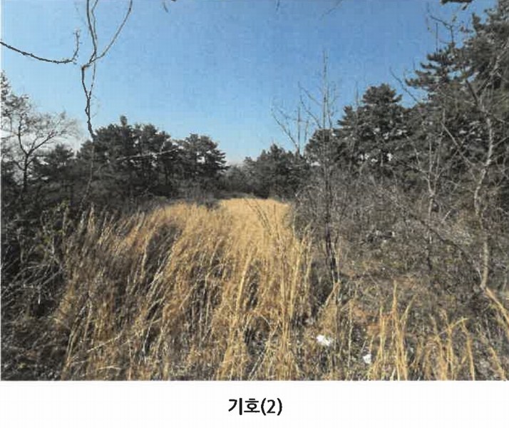 2025타경607 경상남도 남해군 서면 작장리 1327-26 임야 경매 이미지