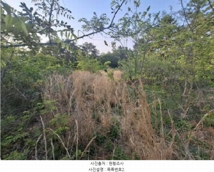 2025타경607 경상남도 남해군 서면 작장리 1327-26 임야 경매 이미지
