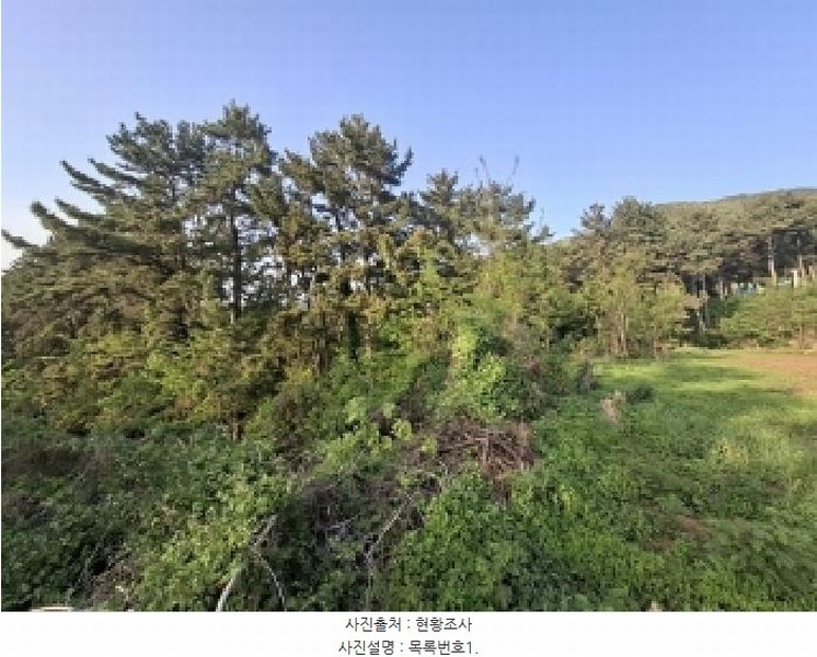 2025타경607 경상남도 남해군 서면 작장리 1327-26 임야 경매 이미지