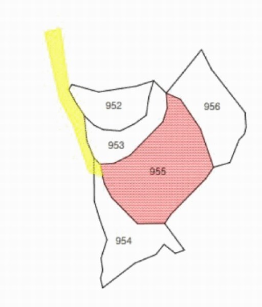 2025타경1211 대구광역시 달성군 화원읍 구라리 955 농지 경매 이미지