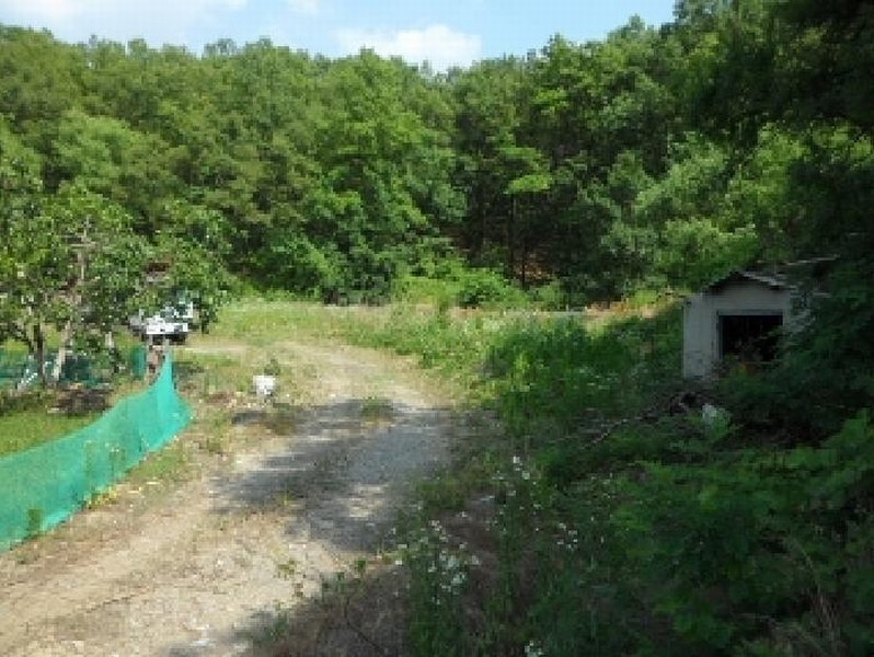 2025타경1211 대구광역시 달성군 화원읍 구라리 955 농지 경매 이미지