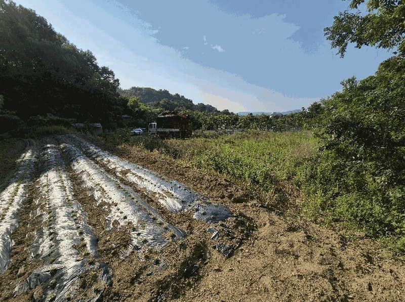 2025타경1211 대구광역시 달성군 화원읍 구라리 955 농지 경매 이미지