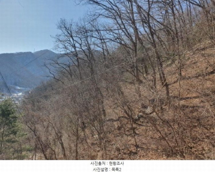 2025타경70521 경기도 가평군 청평면 호명리 산132-82 임야 경매 이미지