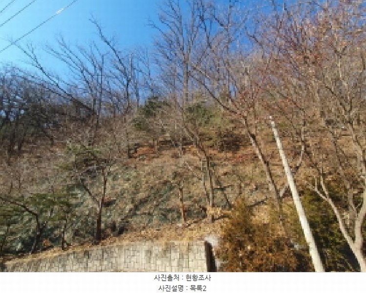2025타경70521 경기도 가평군 청평면 호명리 산132-82 임야 경매 이미지