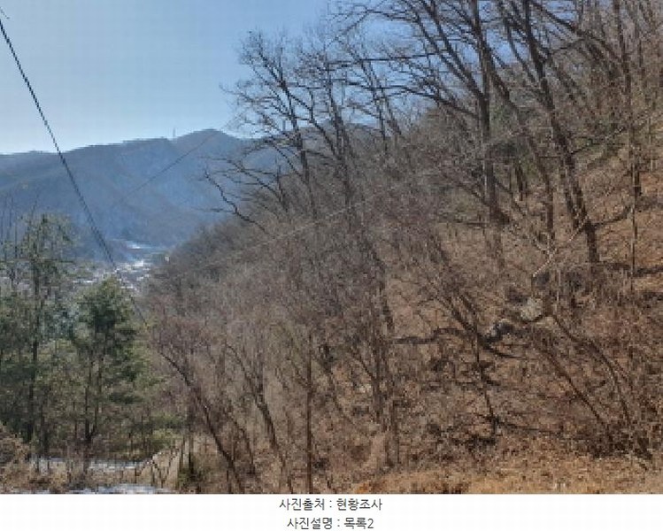 2025타경70521 경기도 가평군 청평면 호명리 산132-82 임야 경매 이미지