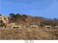 2025타경71320 경기도 가평군 설악면 회곡리 산12-47 임야 경매 이미지
