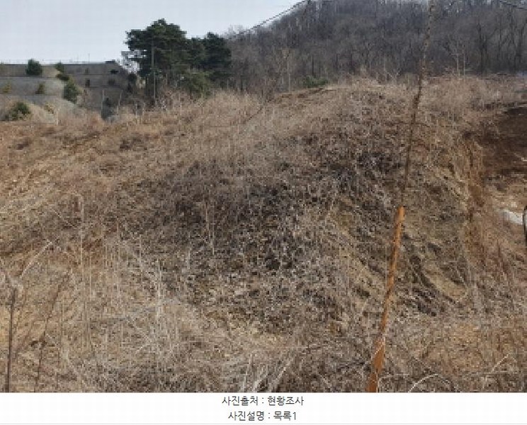 2025타경71320 경기도 가평군 설악면 회곡리 산12-47 임야 경매 이미지