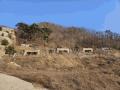 2025타경71320 경기도 가평군 설악면 회곡리 산12-47 임야 경매 이미지