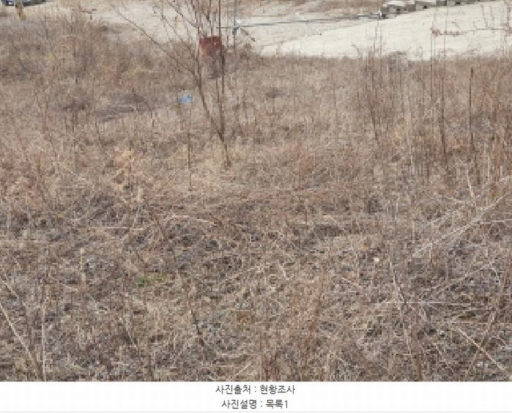 2025타경71320 경기도 가평군 설악면 회곡리 산12-47 임야 경매 이미지