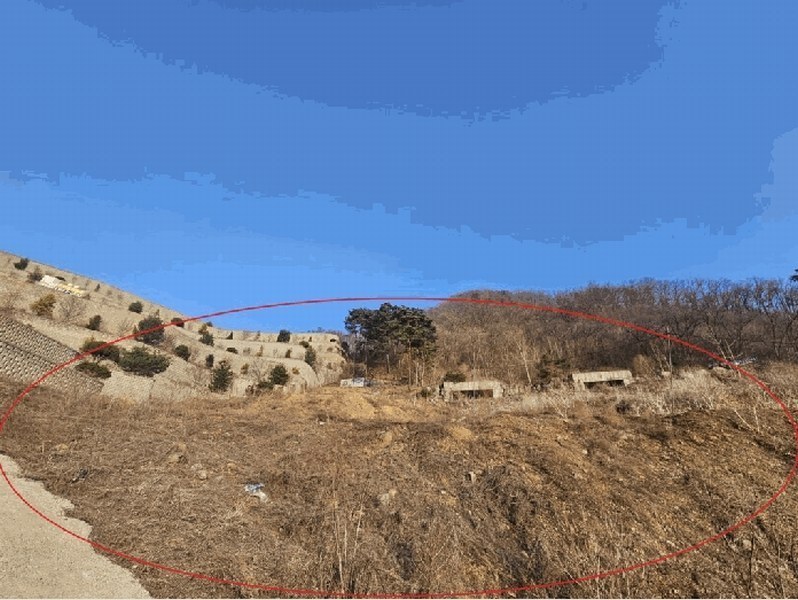 2025타경71320 경기도 가평군 설악면 회곡리 산12-47 임야 경매 이미지