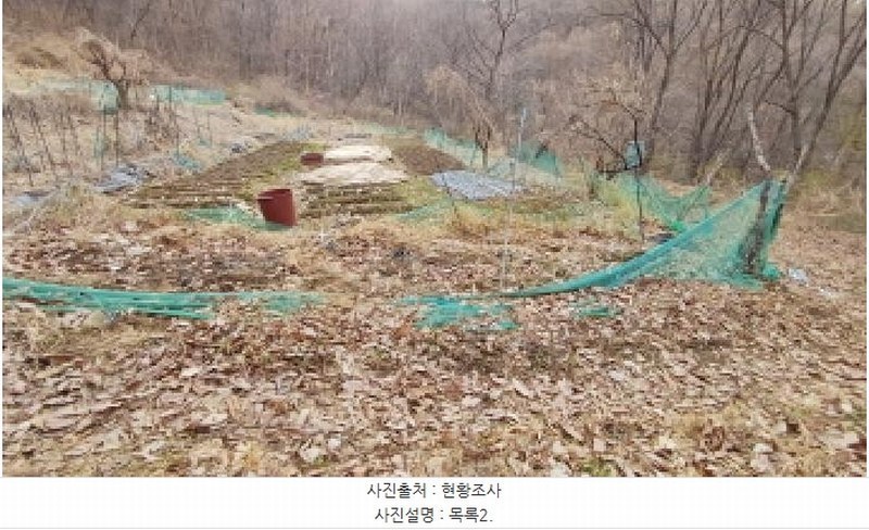 2025타경71384 경기도 남양주시 와부읍 월문리 36 임야 경매 이미지