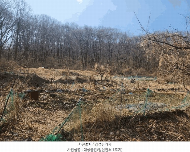 2025타경71384 경기도 남양주시 와부읍 월문리 36 임야 경매 이미지