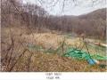 2025타경71384 경기도 남양주시 와부읍 월문리 36 임야 경매 이미지
