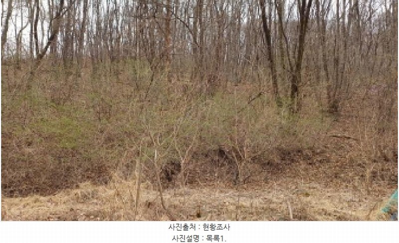 2025타경71384 경기도 남양주시 와부읍 월문리 36 임야 경매 이미지