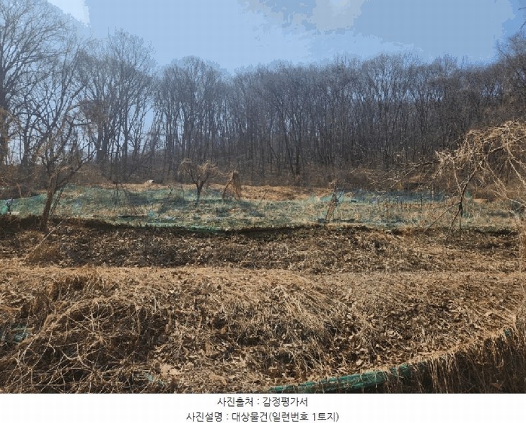 2025타경71384 경기도 남양주시 와부읍 월문리 36 임야 경매 이미지