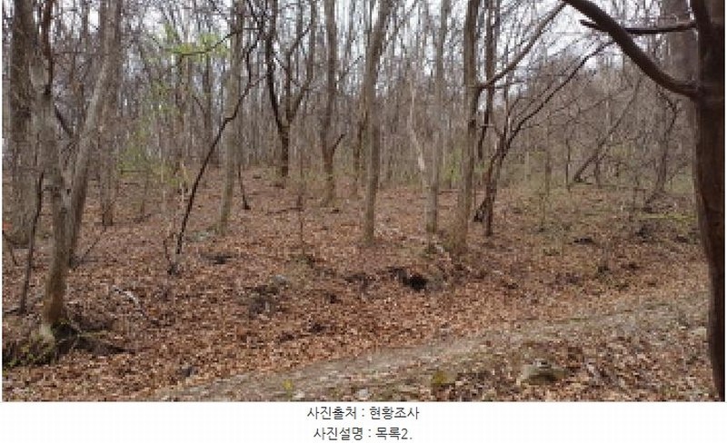 2025타경71384 경기도 남양주시 와부읍 월문리 36 임야 경매 이미지