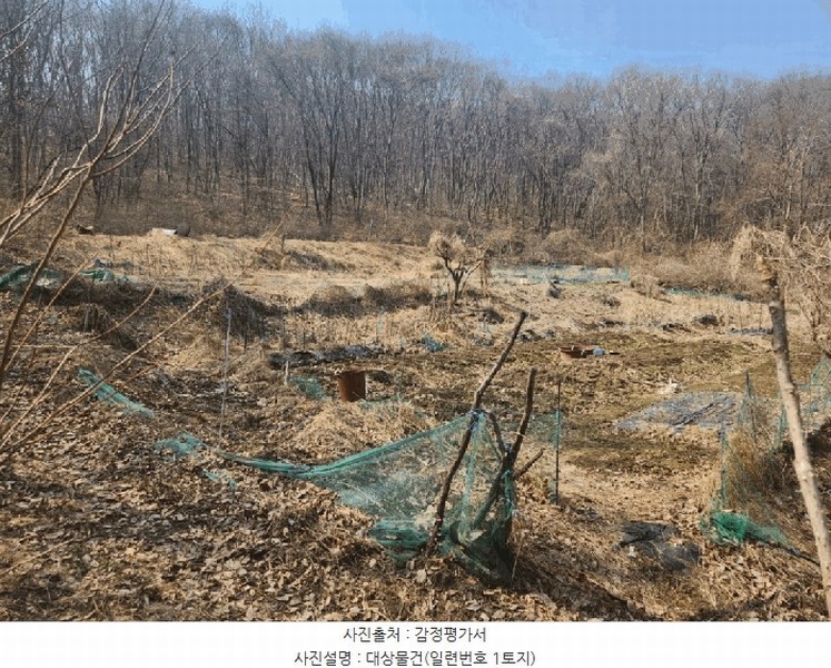 2025타경71384 경기도 남양주시 와부읍 월문리 36 임야 경매 이미지