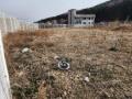 2025타경71404 경기도 남양주시 진접읍 장현리 산33-1 임야 경매 이미지
