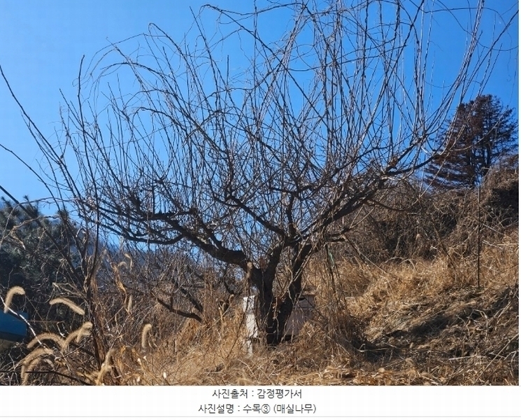 2024타경6448 경기도 남양주시 화도읍 가곡리 227 농지 경매 이미지