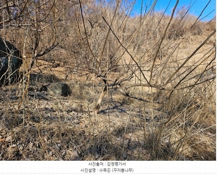 2024타경6448 경기도 남양주시 화도읍 가곡리 227 농지 경매 이미지