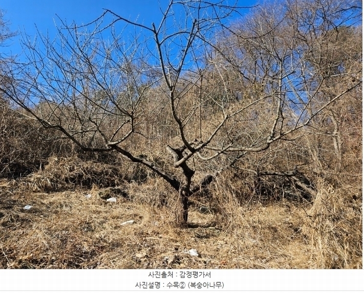2024타경6448 경기도 남양주시 화도읍 가곡리 227 농지 경매 이미지