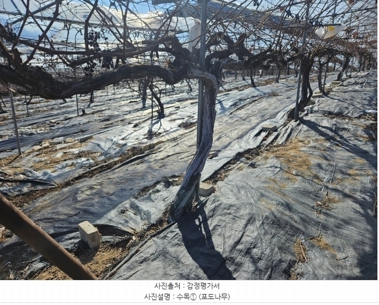 2024타경6448 경기도 남양주시 화도읍 가곡리 227 농지 경매 이미지